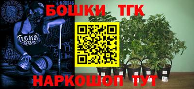 МДПВ Славгород