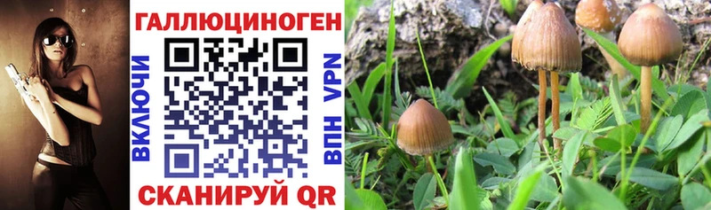 Псилоцибиновые грибы ЛСД закладки Усть-Кут
