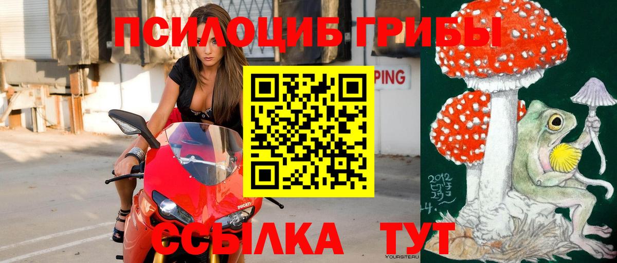 где можно купить   Вход с VPN  Усть-Кут  Галлюциногенные грибы мицелий 