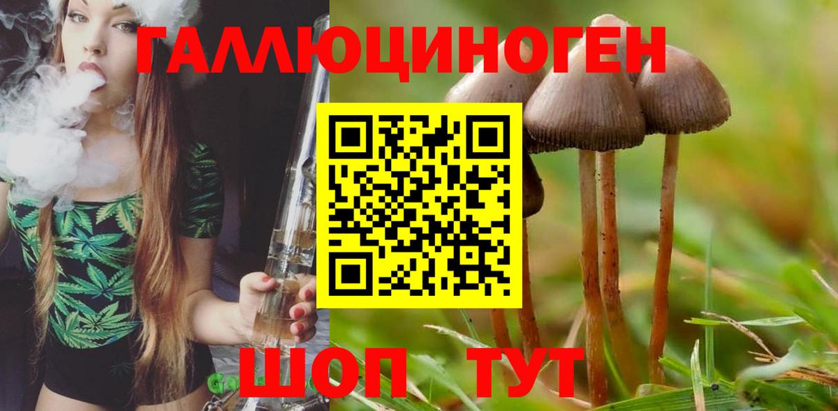 Галлюциногенные грибы Psilocybine cubensis Усть-Кут